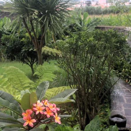 Tranquilo E Acolhedor *