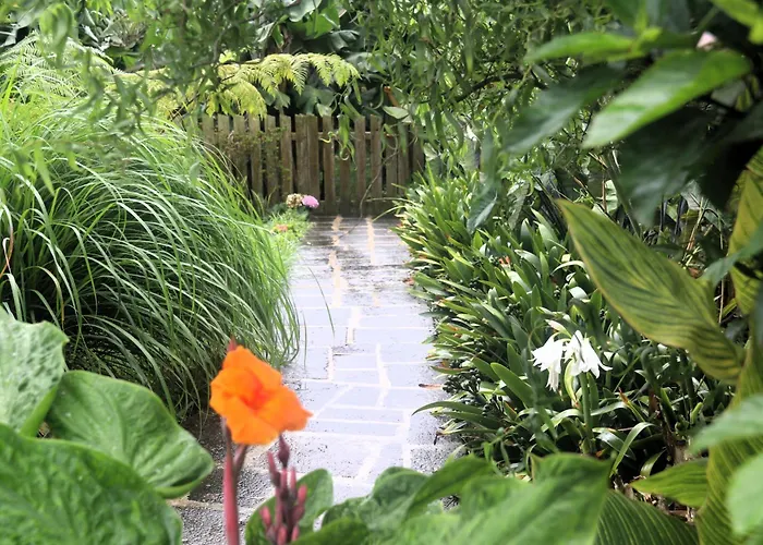 Tranquilo E Acolhedor דירה *