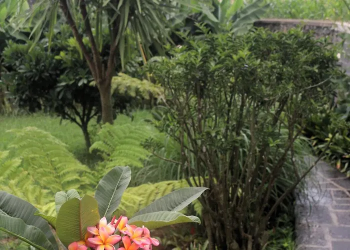 Tranquilo E Acolhedor *