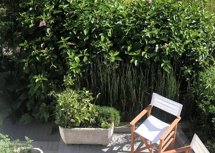 Apartment Tranquilo E Acolhedor